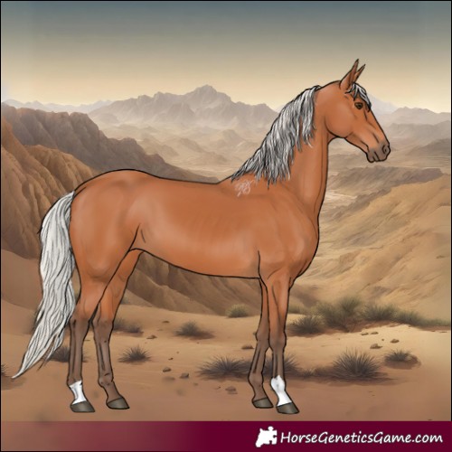 Horse Color:Silver Bay 