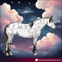 Horse Color:Gray Bay Roan Frame Near Leopard