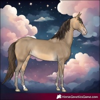 Horse Color:Sable Cream Champagne Rabicano 