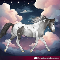 Horse Color:Gray Black Tobiano 
