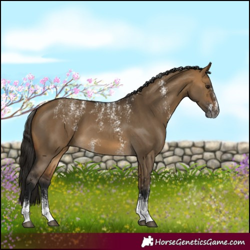 Horse Color:Powder White Gray Buckskin Dun Sabino