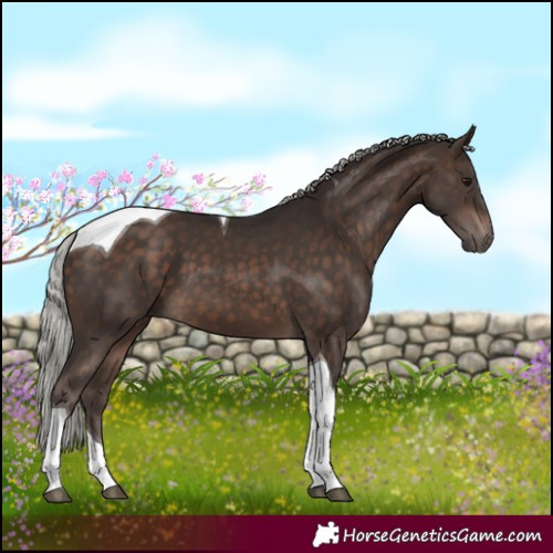 Horse Color:Silver Brown Tobiano
