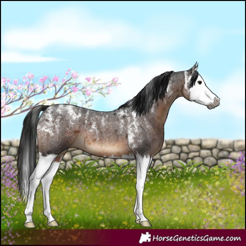 Horse Color:Powder White Gray Brown Roan Splash 