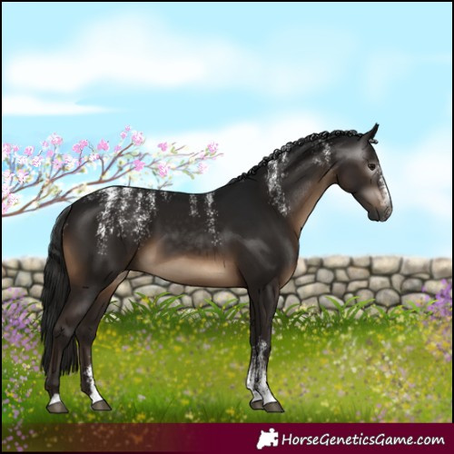 Horse Color:Powder White Gray Brown