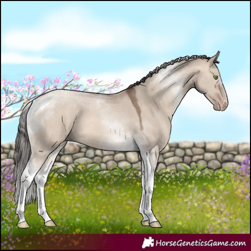 Horse Color:Sable Champagne Dun Tobiano 