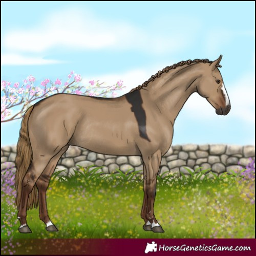 Horse Color:Gray Liver Red Dun Rabicano 