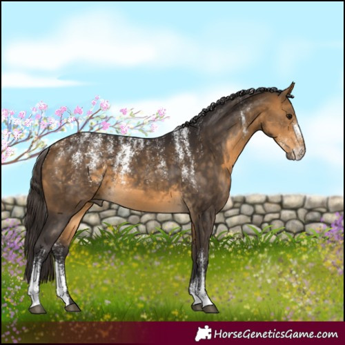 Horse Color:Powder White Buckskin 