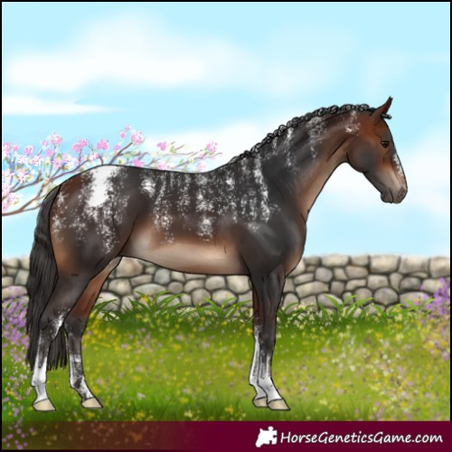 Horse Color:Powder White Bay 