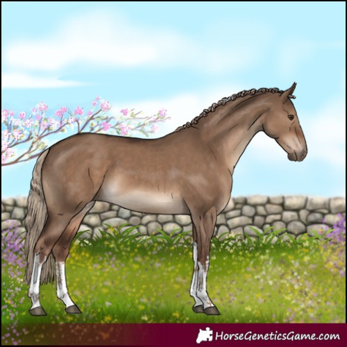 Horse Color:White Spotted Liver Red Dun Tobiano