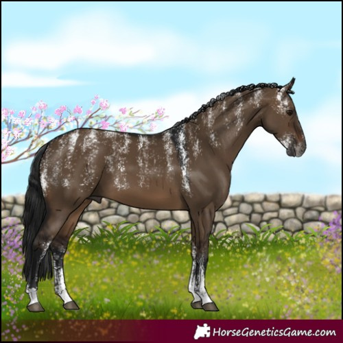 Horse Color:Powder White Gray Brown Dun
