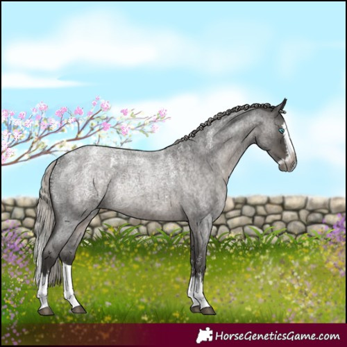 Horse Color:Powder White Gray Silver Blue Ice Roan Splash 