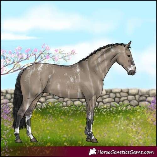 Horse Color:Powder White Gray Brown Ice Dun Sabino 