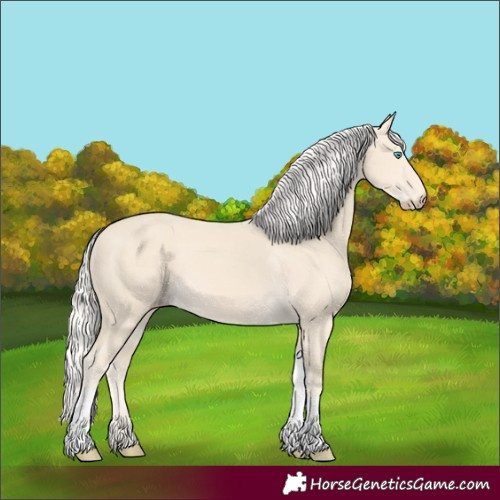 Horse Color:Cremello Tobiano 