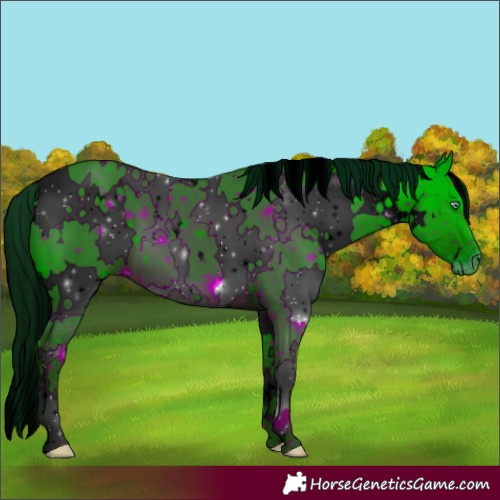Horse Color:ERROR: UNKNOWN ANOMALY