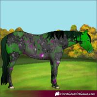 Horse Color:ERROR: UNKNOWN ANOMALY
