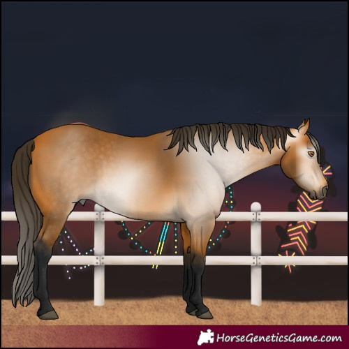 Horse Color:Unknown 