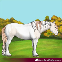 Horse Color:Amber Cream Champagne Pearl Tobiano Varnish