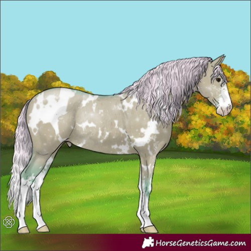Horse Color:Watercolor White Spotted Silver Smoky Grullo Sabino Appaloosa Rabicano 