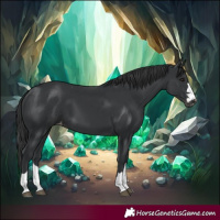 Horse Color:Black Varnish Rabicano