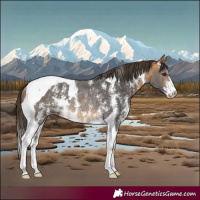 Horse Color:Buckskin Sabino Tobiano Varnish Rabicano 