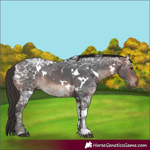 Horse Color:White Spotted Brown Ice 