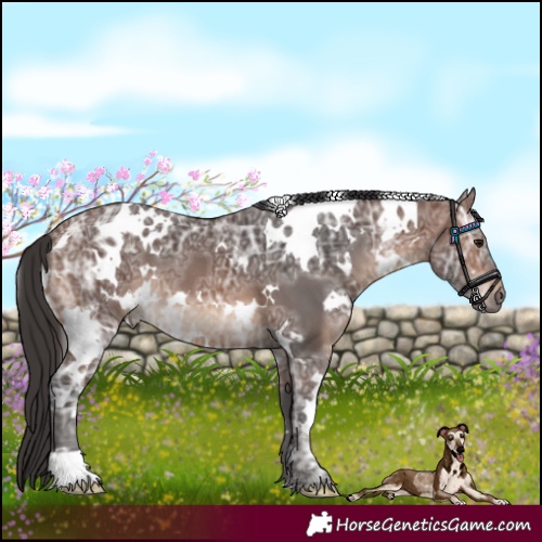 Horse Color:White Spotted Brown Ice