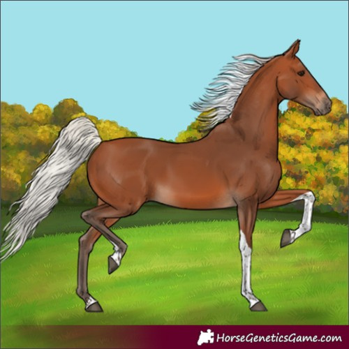 Horse Color:Silver Bay Tobiano 