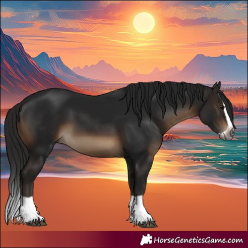 Horse Color:Gray Brown Splash