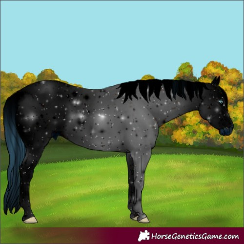 Horse Color:ERROR: UNKNOWN ANOMALY