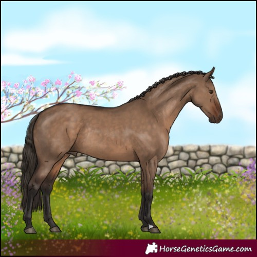 Horse Color:Liver Red Dun Rabicano 
