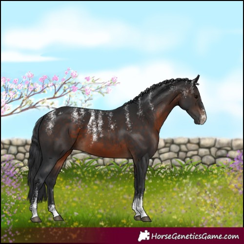 Horse Color:Powder White Brown 