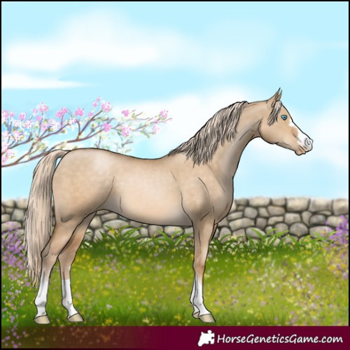 Horse Color:Chocolate Palomino Pearl Dun 
