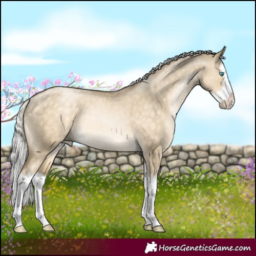 Horse Color:White Spotted Silver Buckskin Snowdrop Dun Splash Rabicano 