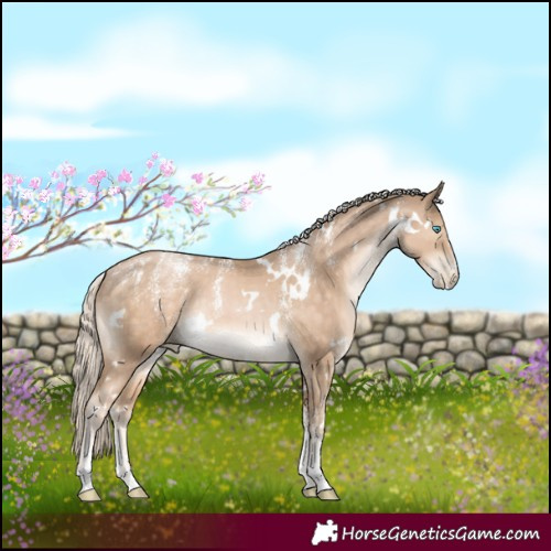 Horse Color:Powder White White Spotted Chocolate Palomino Pearl