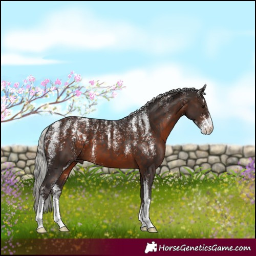 Horse Color:Powder White Silver Brown