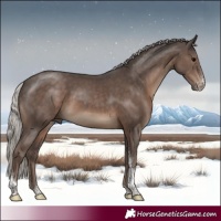 Horse Color:Silver Black Sabino Tobiano Rabicano 