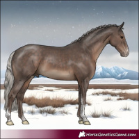 Horse Color:Silver Black Sabino Tobiano Rabicano