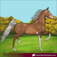 Horse Color:Gray Silver Amber Champagne Tobiano 