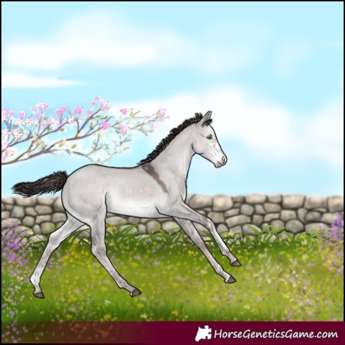 Horse Color:Platinum White Spotted Liver Red Dun Rabicano 
