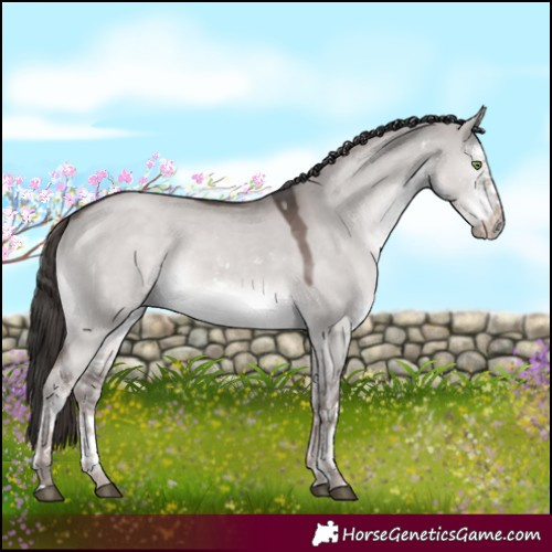 Horse Color:Platinum White Spotted Liver Red Dun Rabicano 