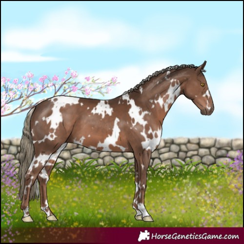 Horse Color:White Spotted Liver Chestnut Mushroom 