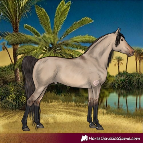 Horse Color:Bay Dun