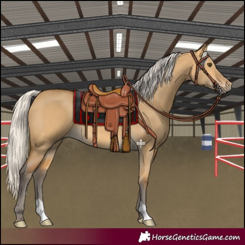 Horse Color:Silver Buckskin Dun