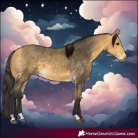 Horse Color:Buckskin 