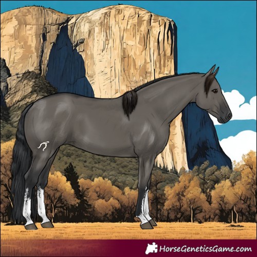 Horse Color:White Spotted Grullo 