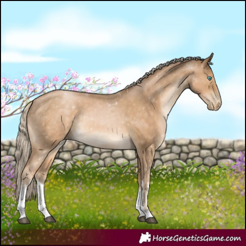 Horse Color:White Spotted Chocolate Palomino Pearl Rabicano 