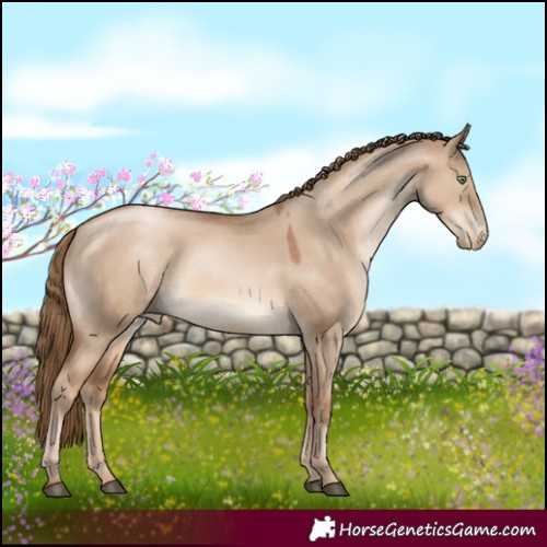 Horse Color:White Spotted Liver Red Dun Pearl Rabicano 