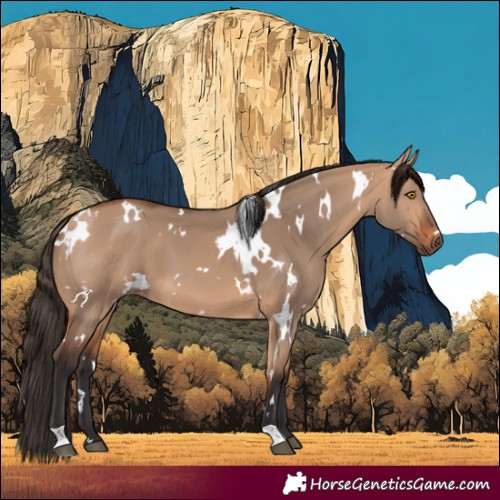 Horse Color:White Spotted Bay Dun 
