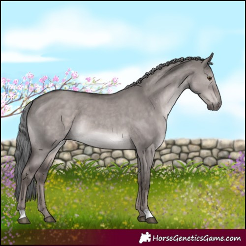 Horse Color:Platinum Liver Red Dun Mushroom