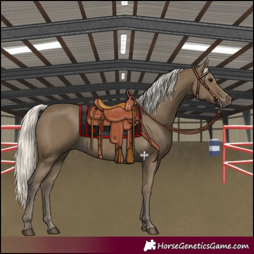 Horse Color:Silver Smoky Black